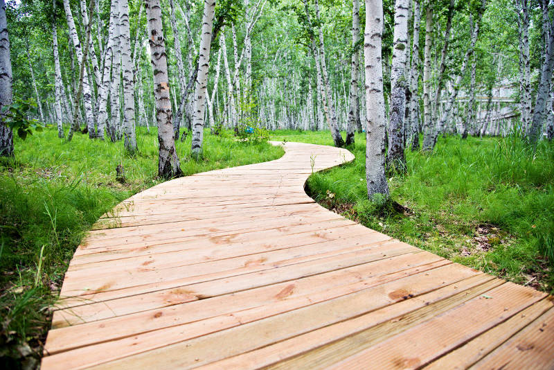 driveway contractors in halifax ns